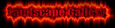 Landscape Gallery