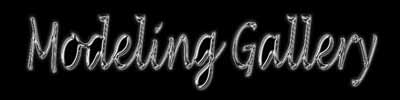 Modeling Gallery